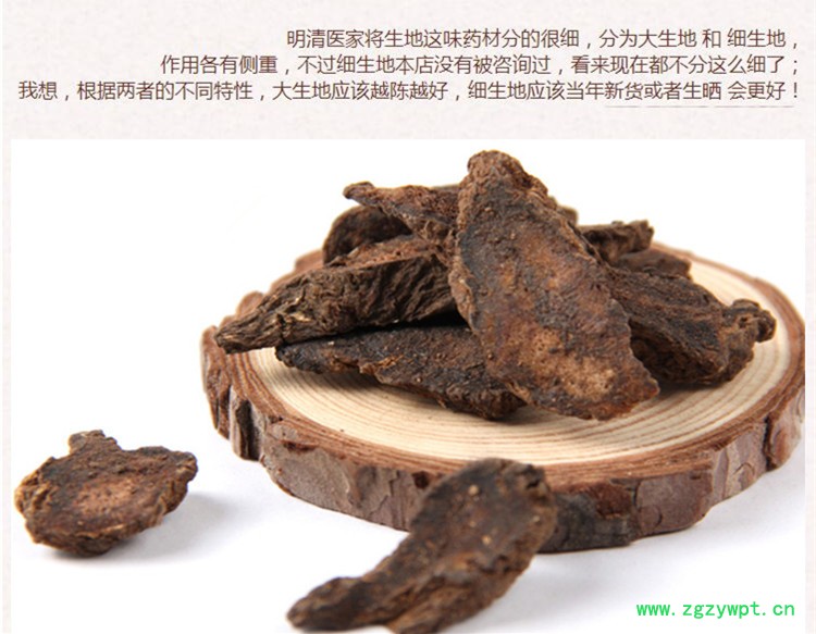 生地黄5.jpg