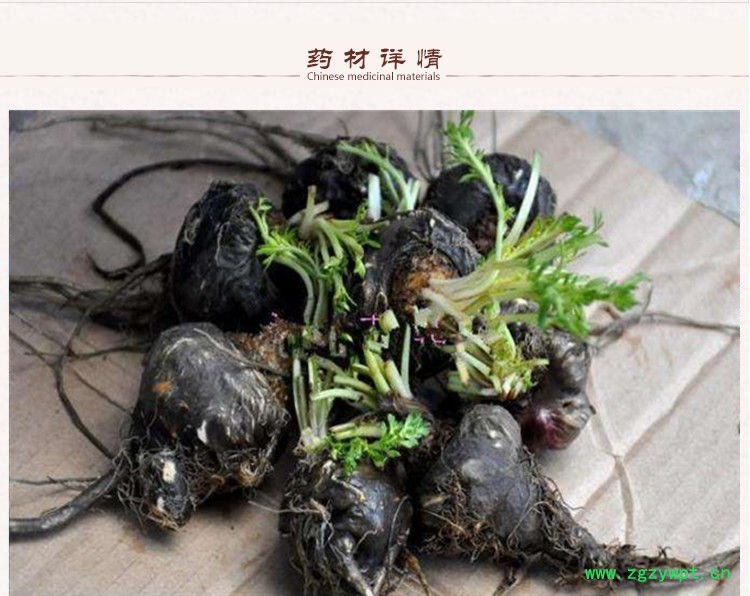秘鲁黑玛卡3.jpg