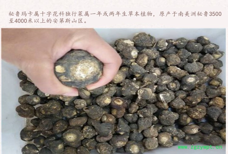 秘鲁黑玛卡4.jpg
