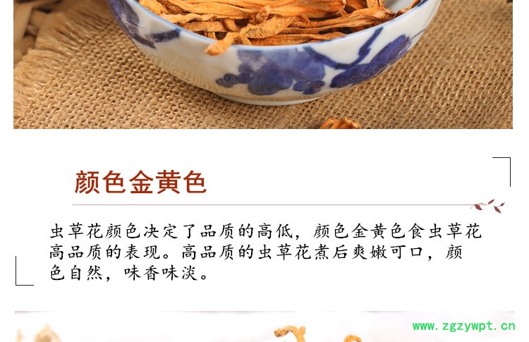 新虫草4.jpg