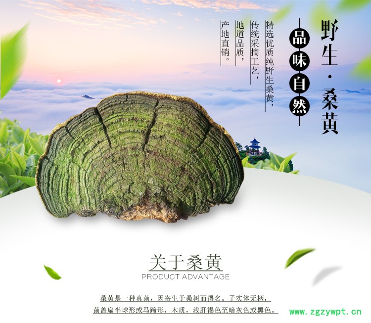 详情首图.jpg