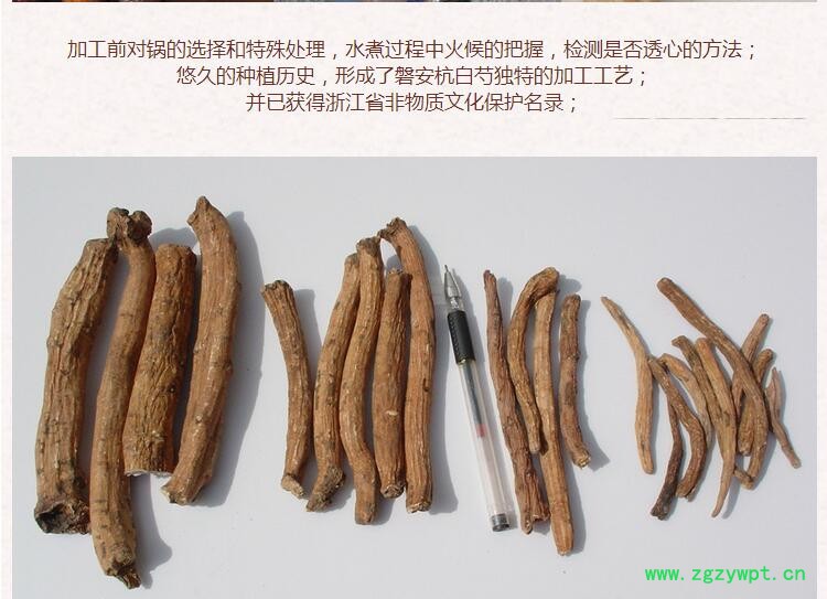 白芍3.jpg