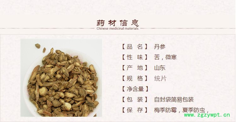 山东丹参1.jpg