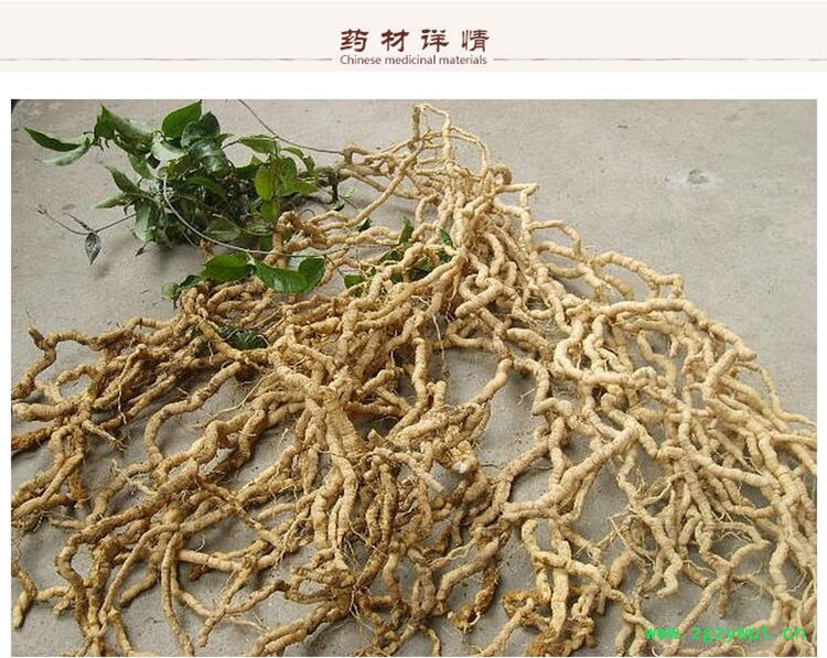 巴干2.jpg