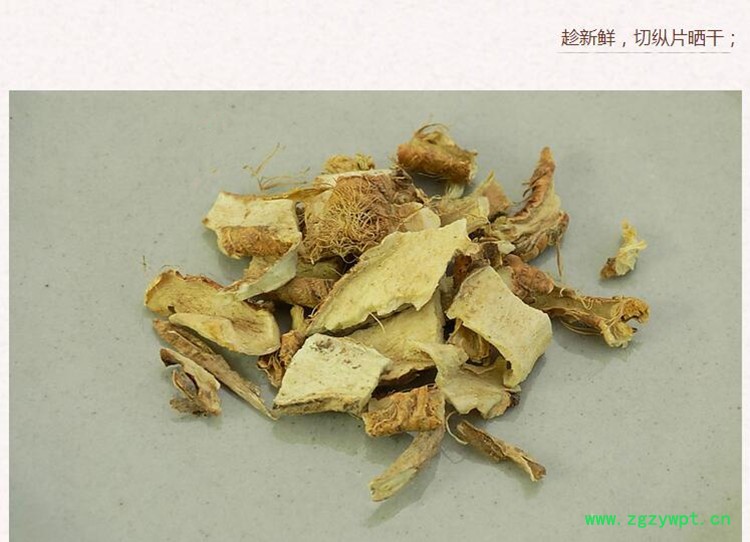 知母4.jpg