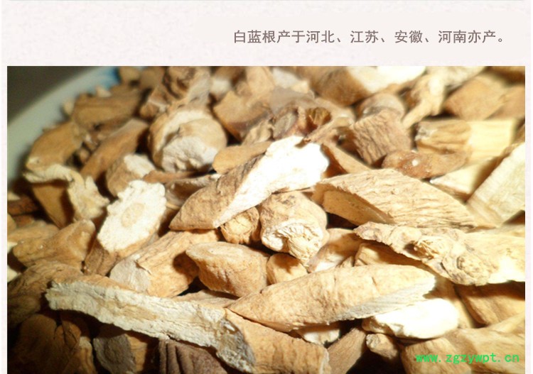 白蓝根4.jpg