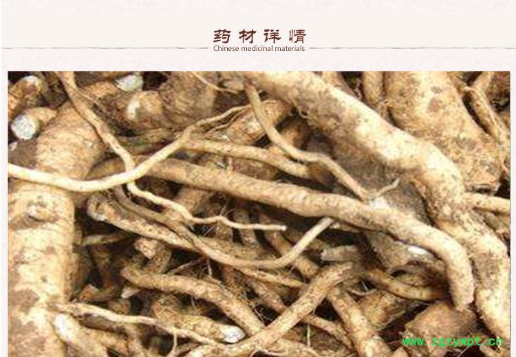 白蓝根.jpg