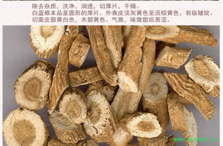 白蓝根3.jpg