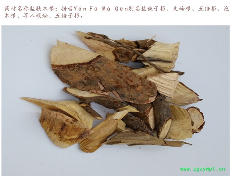 盐肤木根3.jpg
