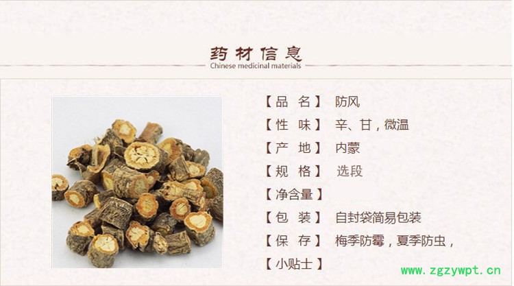防风1_副本.jpg