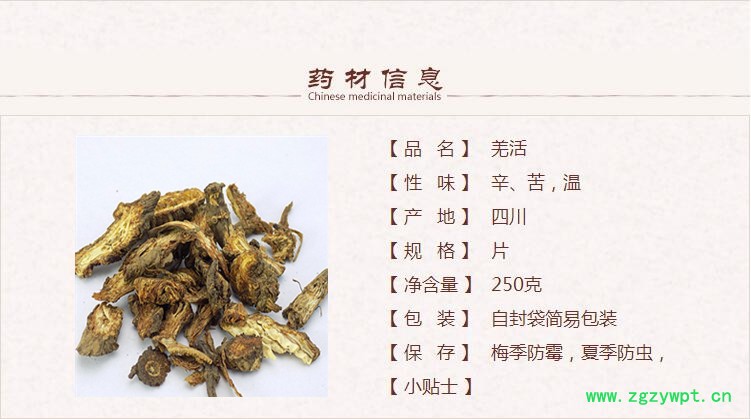 羌活1.jpg
