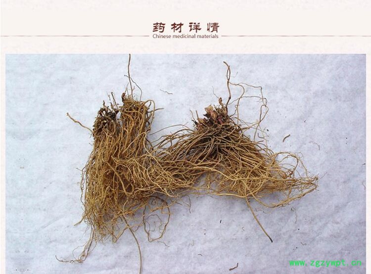 细辛2.jpg