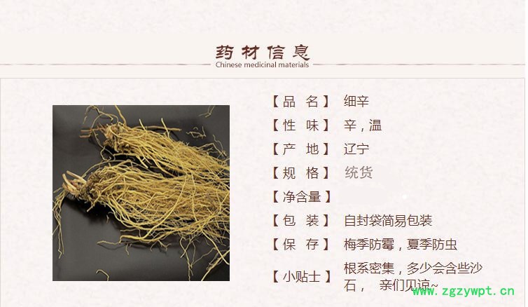 细辛1_副本.jpg