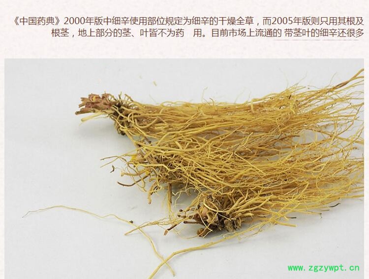 细辛3.jpg
