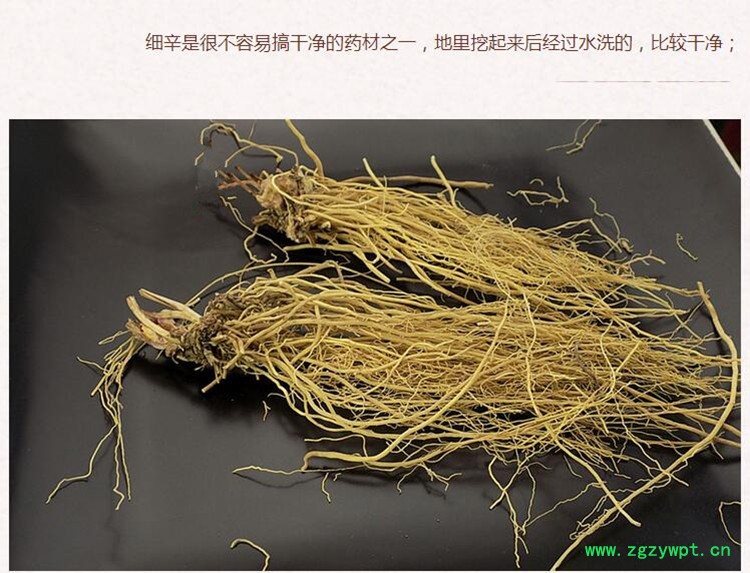 细辛4.jpg