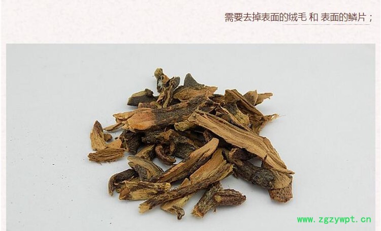 骨碎补4.jpg