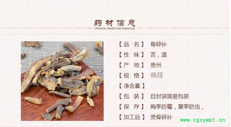 骨碎补1_副本.jpg