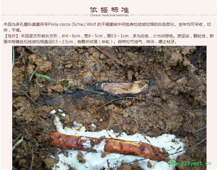 茯神木4.jpg