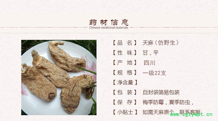 仿野生天麻1.jpg