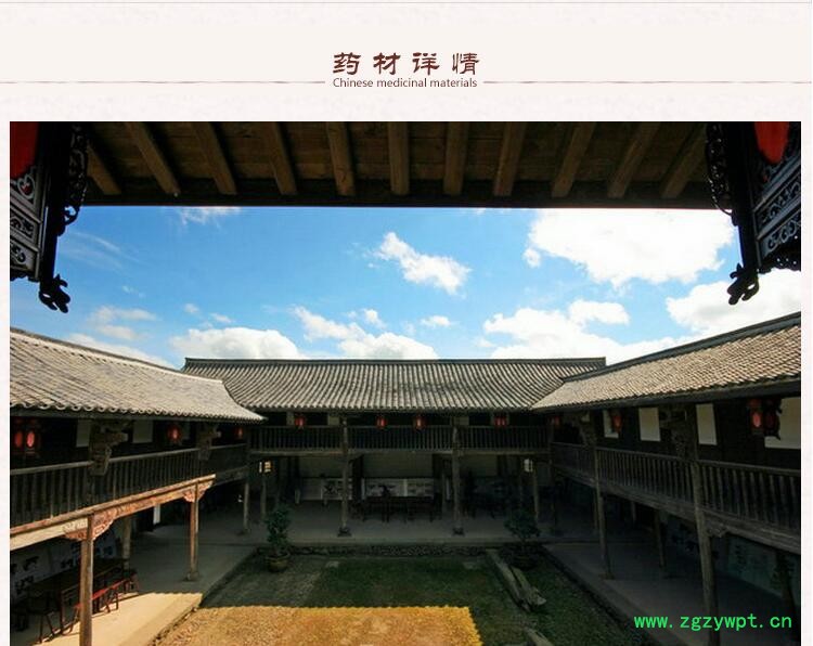 统片白术2下.jpg
