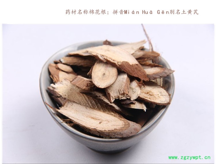 棉花根3 .jpg
