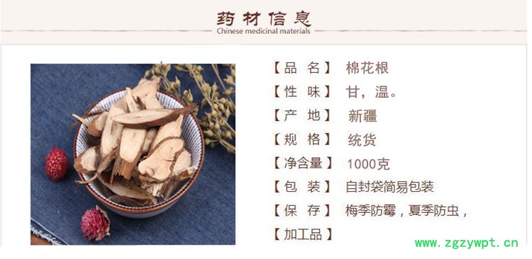 棉花根1.jpg