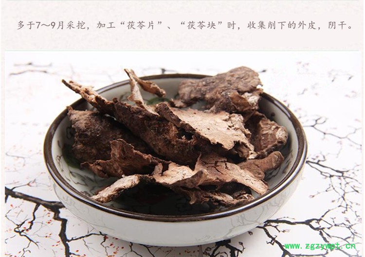 茯苓皮1.jpg