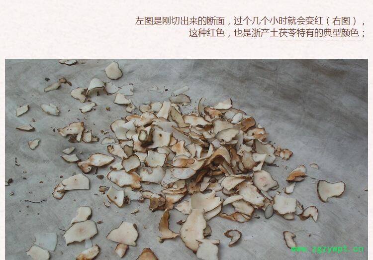 土茯苓4.jpg