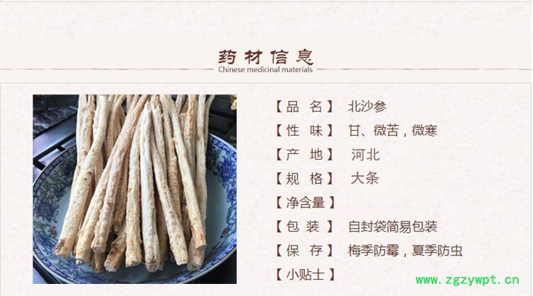 北沙参1_副本.jpg