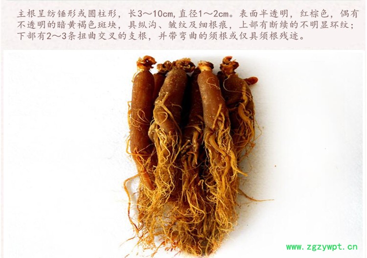 红参20支4_副本_副本.jpg