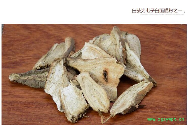 白蔹3.jpg