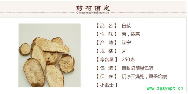 白蔹1.jpg