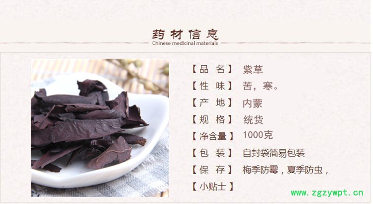 内蒙紫草.jpg
