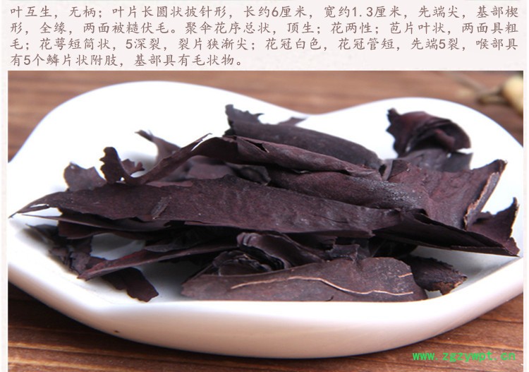 内蒙紫草4.jpg