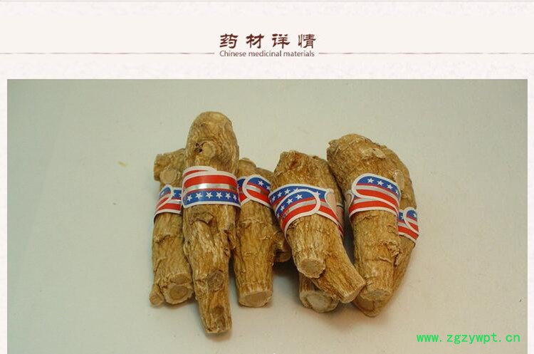 西洋参2.jpg