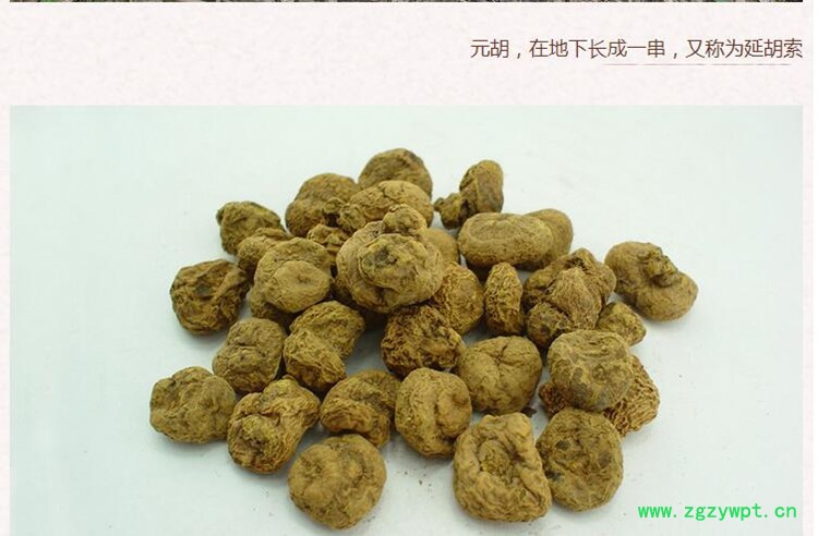 元胡3.jpg
