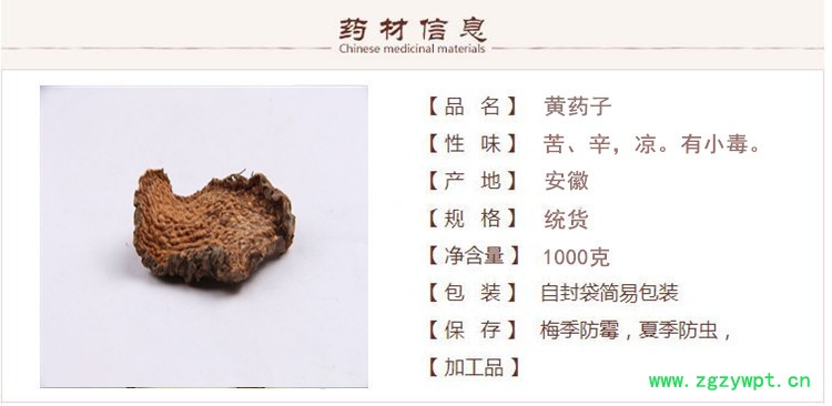 黄药子1.jpg