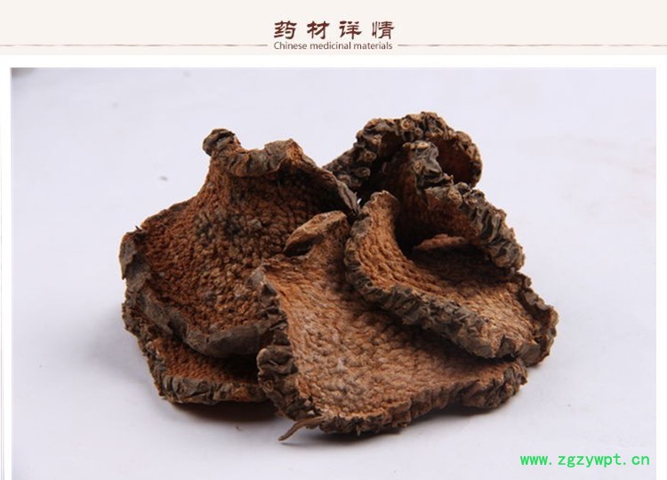 黄药子2.jpg