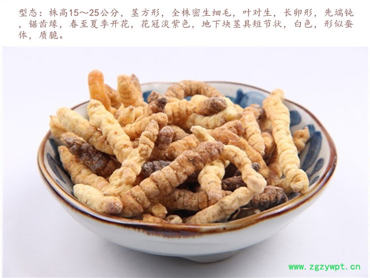 土虫草4.jpg