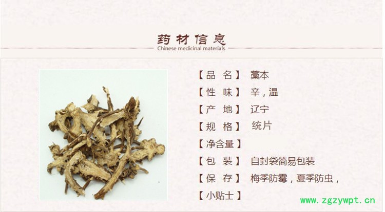 藁本1_副本.jpg
