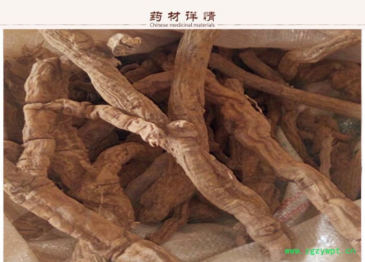朱砂根2.jpg