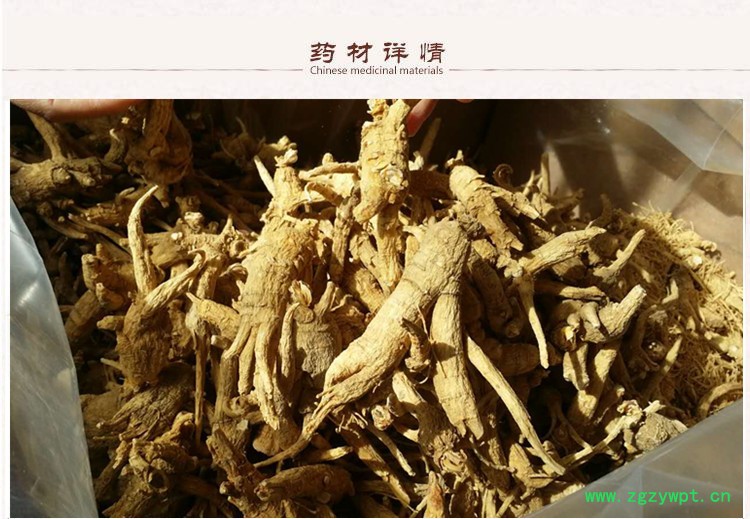 西洋参2__副本.jpg