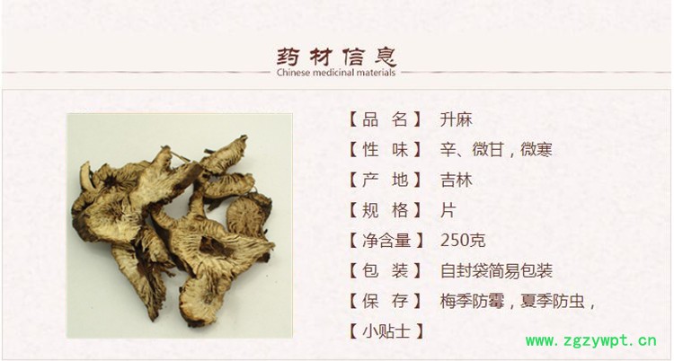 升麻1.jpg
