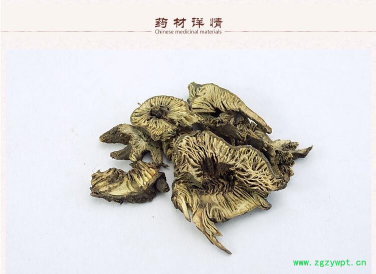 升麻2.jpg