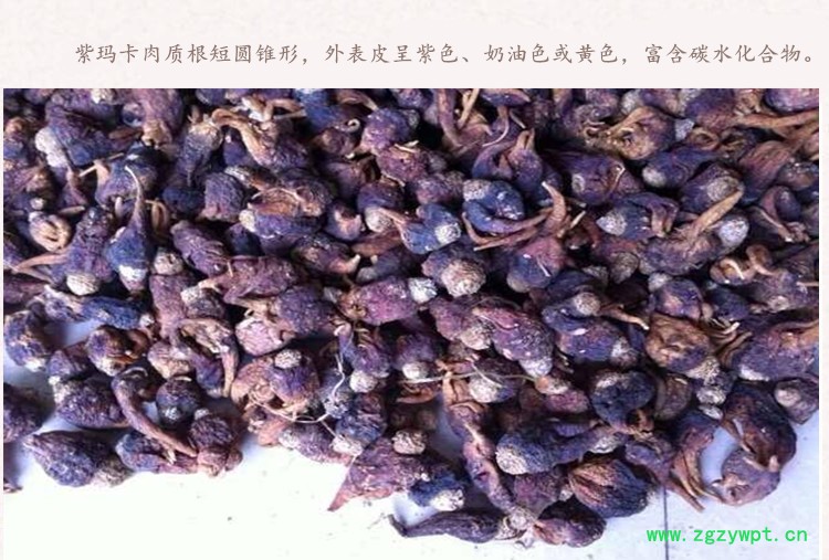 紫玛卡4.jpg