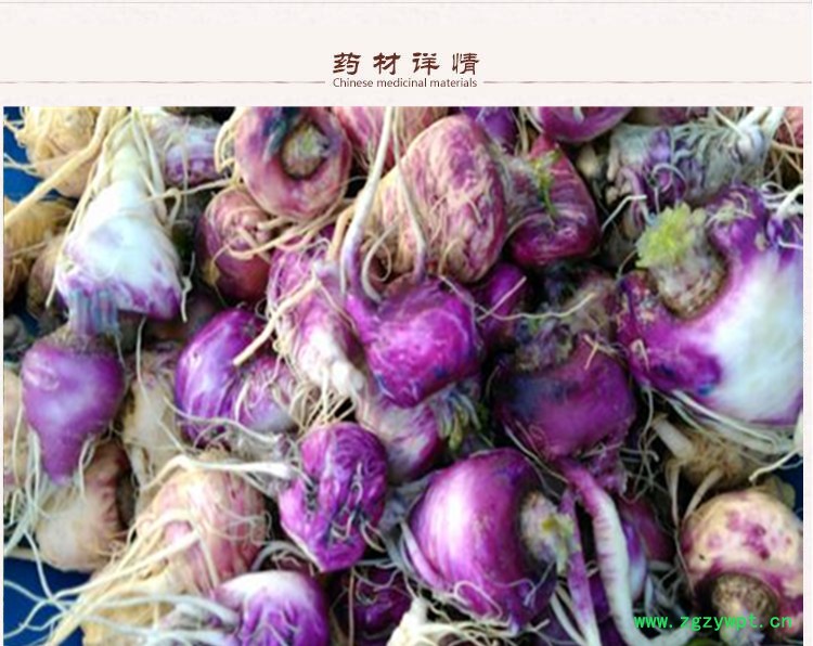 紫玛卡2下.jpg