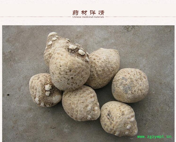 泽泻3.jpg