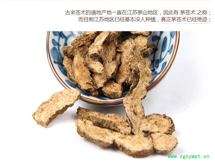 内蒙苍术3.jpg