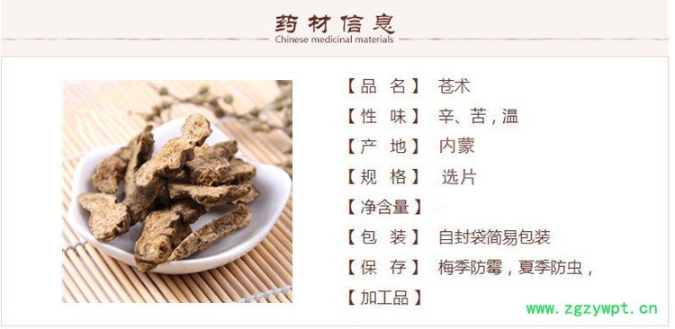 内蒙苍术1.jpg