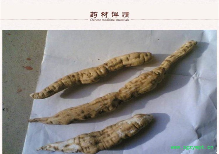 白首乌藤2.jpg
